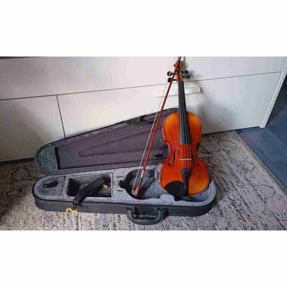 Stagg Violon 1/2