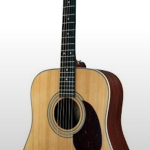 Cort Guitare folk acoustique earth E70