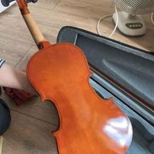 Violon avec housse