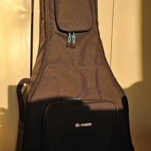 Ibanez Guitare électro acoustique