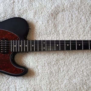 Harley Benton Guitare TE-20HH SBK Modifiée