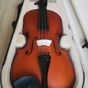 Gigla Violon Gliga Genial 1