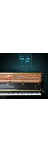 Boz Digital Labs Master Keys Ningbo Upright 2021