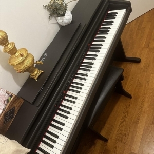 Piano numérique Bird