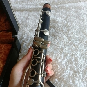 Clarinette Selmer Série 9