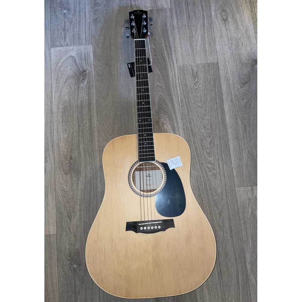 Guitare Prodipe SD 25 + housse et accessoire