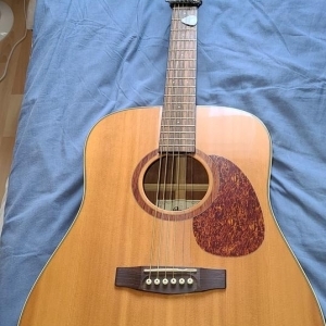 Guitare Folk Cort Earth 100