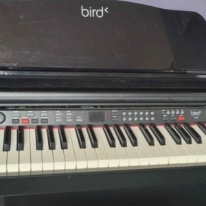 Piano numérique Bird