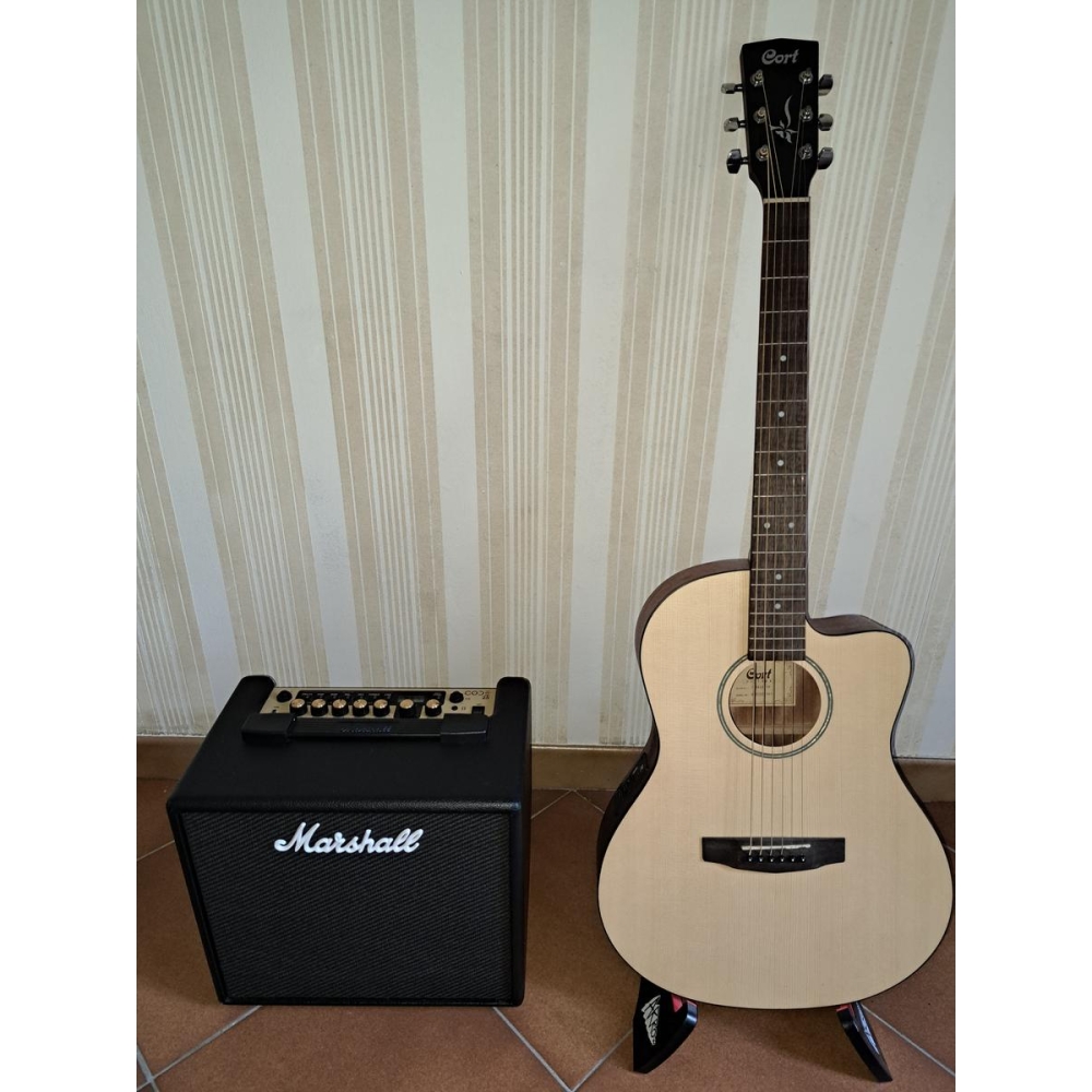 Guitare électro-acoustique et ampli