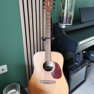 Guitare Folk Earth60ns