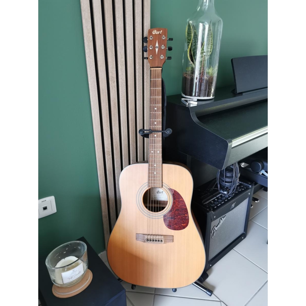 Guitare Folk Earth60ns