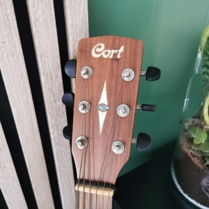 Guitare Folk Earth60ns