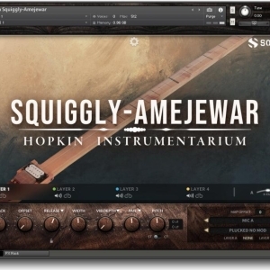 Soundiron Hopkin Instrumentarium: Squiggly-Amejewar