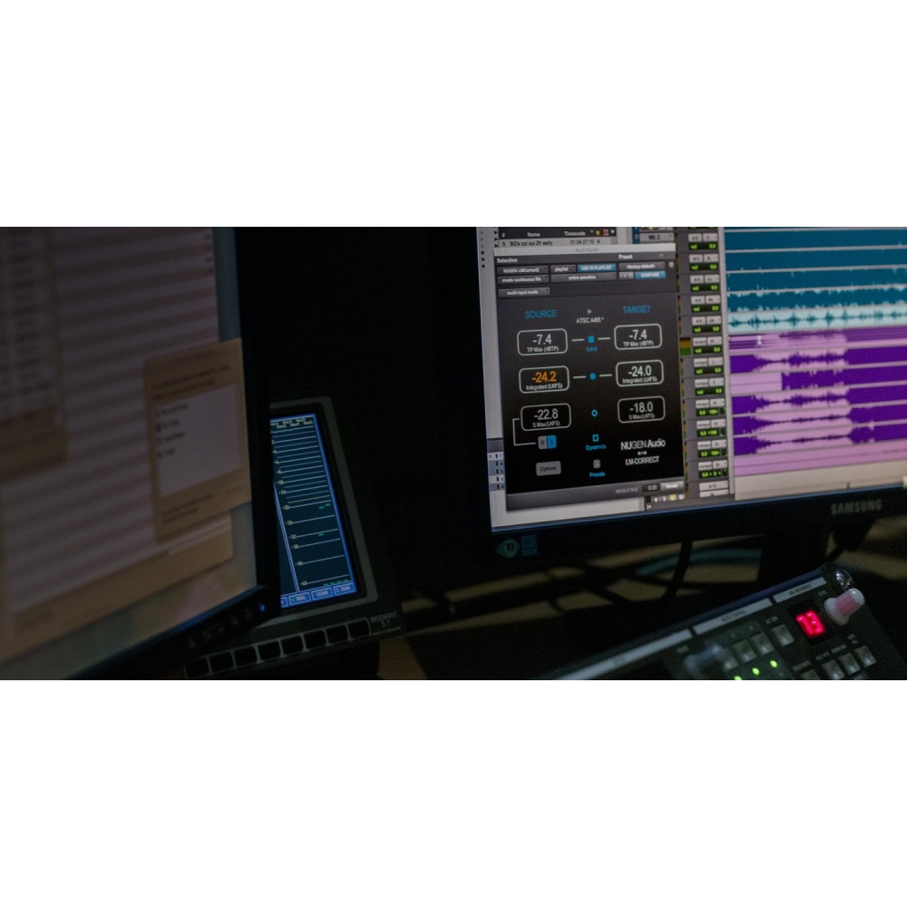 Nugen Audio LM-Correct with DynApt extension