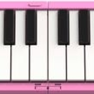 Carry On Piano 88 Pink