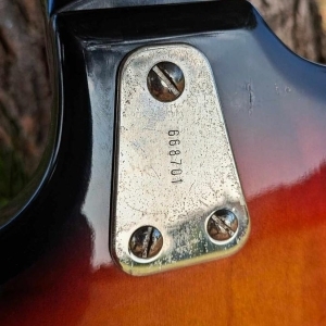 Hagström  F125 H12 1966