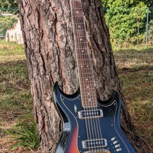 Hagström  F125 H12 1966