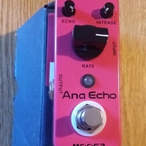 Mooer Ana Echo