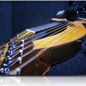 Soundiron Brad Hoyt's Harp Guitar