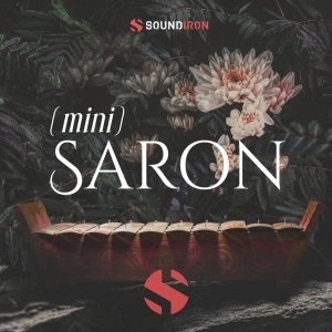 SOUNDIRON Mini Saron