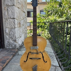 Hofner Senator