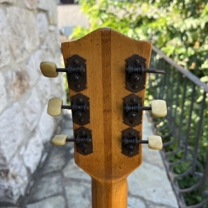 Hofner Senator