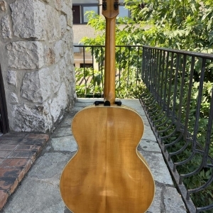 Hofner Senator