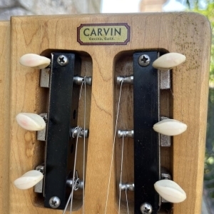 Carvin Lapsteel double manche