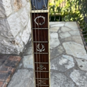 Ibanez 2405 Custom Agent