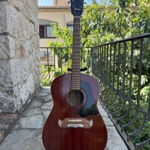 Framus Western 5/195