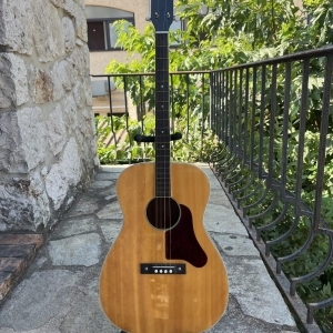 Harmony Tenor acoustique