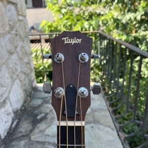 Taylor GS Mini-E Bass