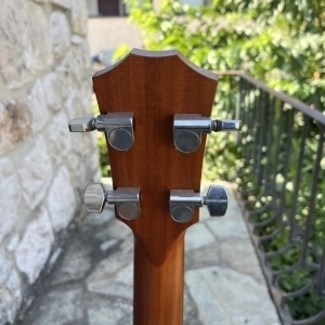 Taylor GS Mini-E Bass