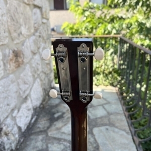 Harmony Tenor acoustique