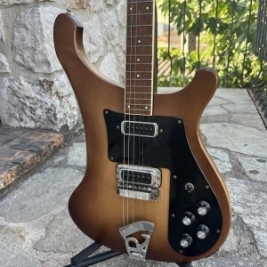 Rickenbacker 480 de 1976