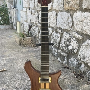 Electrique douze cordes luthier