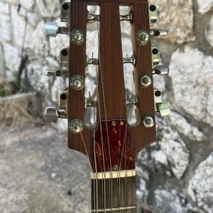 Electrique douze cordes luthier