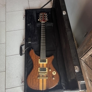 Electrique douze cordes luthier