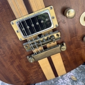 Electrique douze cordes luthier