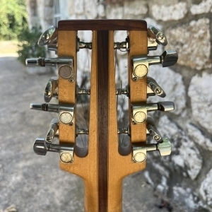 Electrique douze cordes luthier