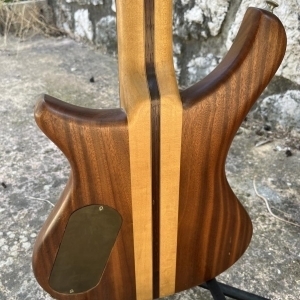 Electrique douze cordes luthier