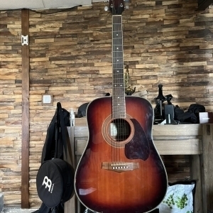 Ibanez PF60S DVS 27 01