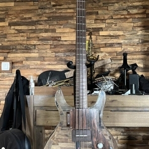 Dan Armstrong Ampeg Lucite Bass