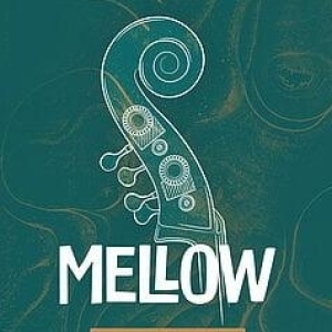 Ujam Virtual Bassist MELLOW 2 - Mise à niveau