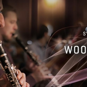 VSL Synchron Woodwinds Standard Library