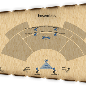 VSL Synchron Woodwinds Standard Library