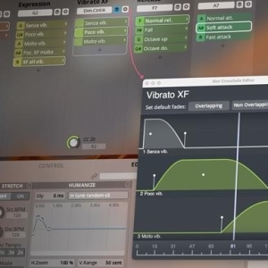 VSL Synchron Solo Cello Standard Library