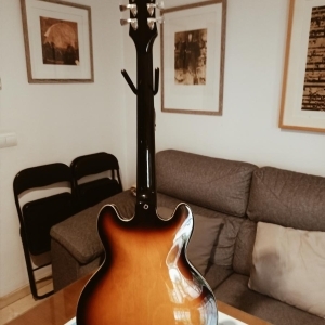 Epiphone ES-339