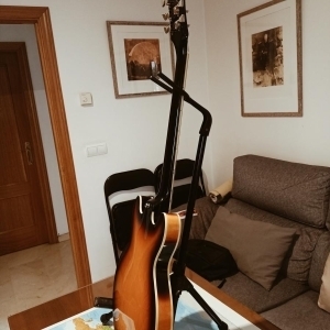 Epiphone ES-339