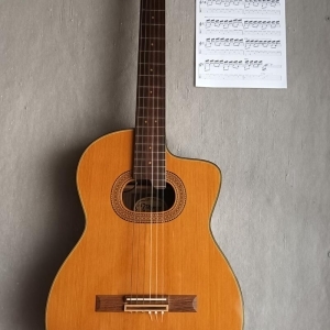 Takamine E50